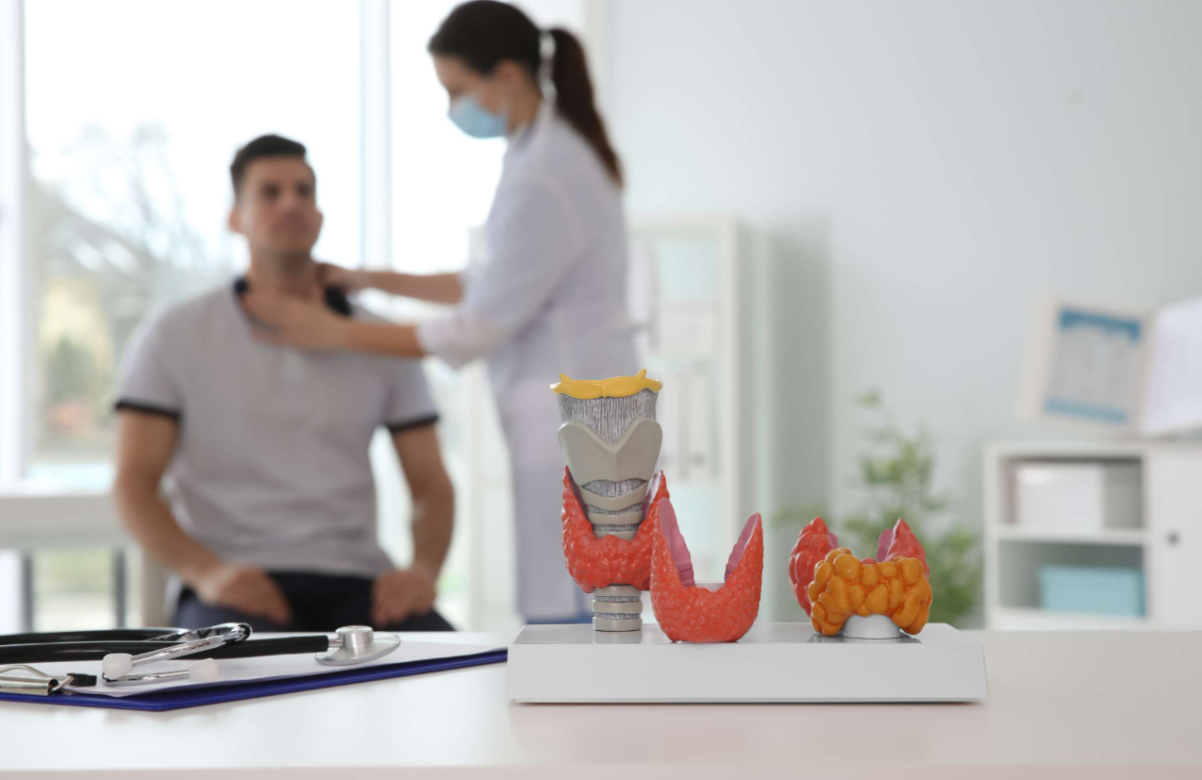 Thyroid Disease: What It Is, Causes, Symptoms & Treatment