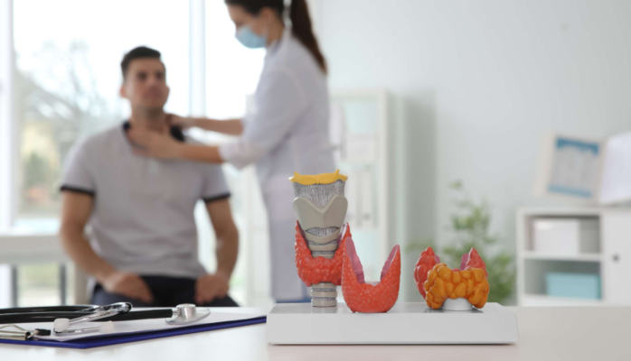 Thyroid Disease: What It Is, Causes, Symptoms & Treatment