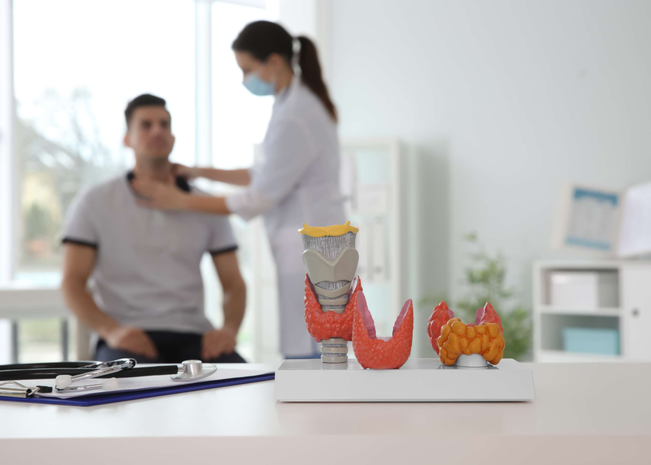 Thyroid Disease: What It Is, Causes, Symptoms & Treatment